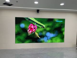 会议厅大屏